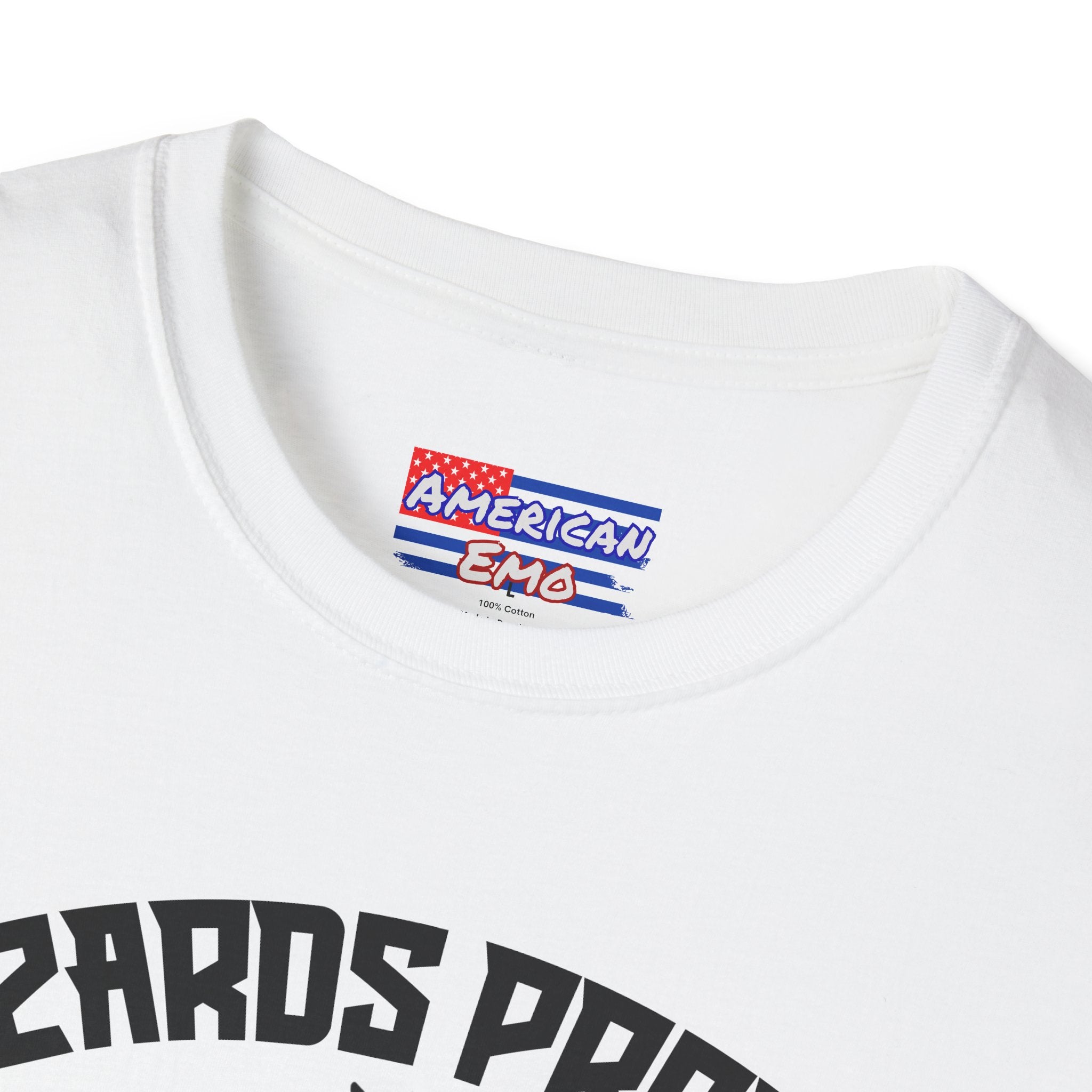 Wizards Protect Queer Kids — Pride T-Shirt