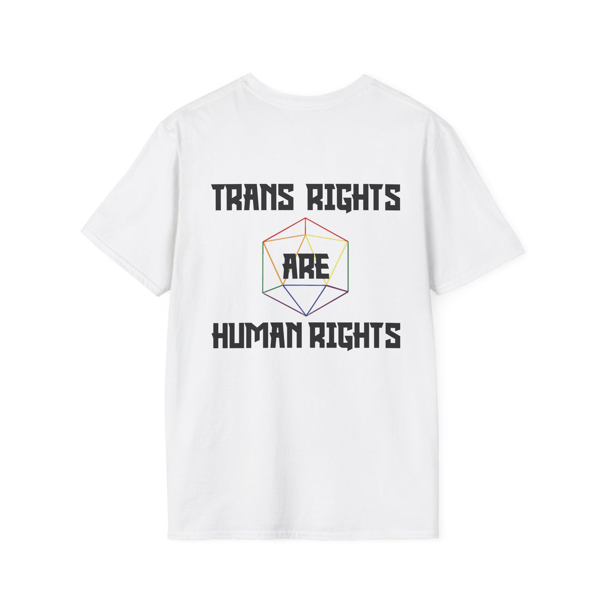 Paladins Protect Trans Kids — Pride T-Shirt