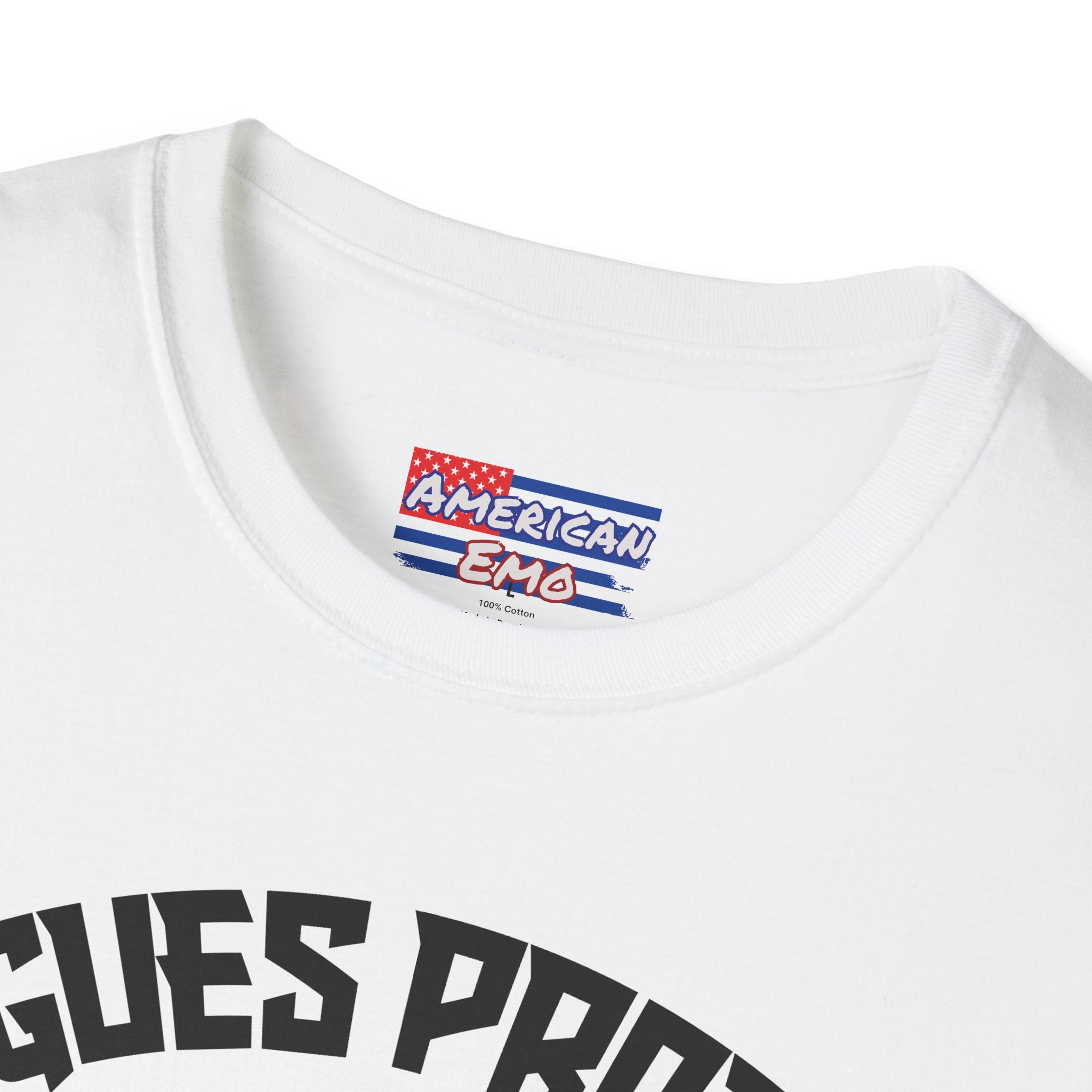 Rogues Protect Trans Kids — Pride T-Shirt